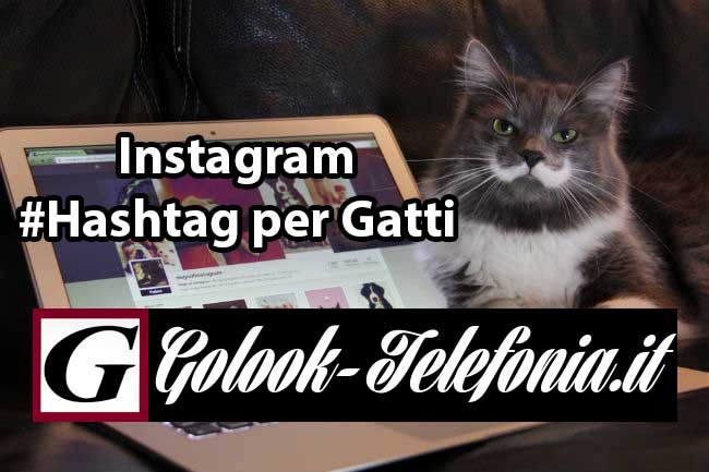 Instagram hashtag gatti
